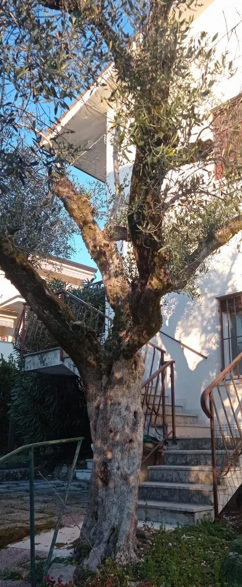 Casa Anna Holiday home Garda (Verona)